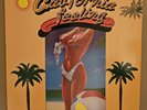 Beach Boys Vinyl LP California Feeling Cover Near Mint LP MINT Condition