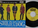 BEETHOVENS She Is My Love *HOLY GRAIL* german freakbeat 45 garage mod LISTEN