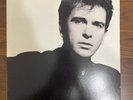 Peter Gabriel 