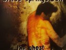Bruce Springsteen - The Ghost Of Tom Joad (LP, Album, RE, RM) (sleeve: Near Mint