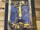 Sepultura Chaos A.D. (Vinyl) Expanded  12