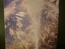 The Range Of Light Wilderness Self Titled LP Clear Vinyl  Limited Edittion VG+