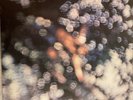 PINK FLOYD: Obscured by clouds (Harvest 1C 062-05 054 Stereo / NM / Ecken rund)