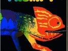 Frumpy - All Will Be Changed (LP, Album, Gat) (Very Good (VG)) - 3212121596