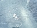 Nf-Hope-White Vinyl 2LP by NF (Record, 2023) Sealed Brand New