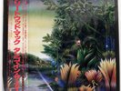 FLEETWOOD MAC TANGO IN THE NIGHT WARNER BROS. P13490 Japan OBI INSERT VINYL LP