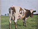 Pink Floyd - Atom Heart Mother . SHVL 781 A-1G Ist vinyl