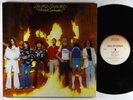 Lynyrd Skynyrd - Street Survivors LP - MCA Flames Cover NM