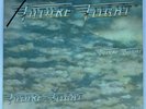 Future Flight - Future Flight LP - Capitol Vinyl - OG 1981  RARE VG++
