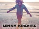 Lenny Kravitz Raise Vibration (Vinyl LP) 12