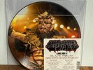Gwar ‎Black Friday Limited Edition Exclusive Picture Disc 2016 7