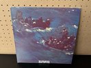 The Avalanches – Since I Left You 2LP 2004 Press Vinyl 2 LP  VG+/Ex