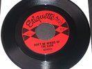 45 rpm NW garage rock THE SONICS Don’t Be Afraid of the Dark  1965 Etiquette 18