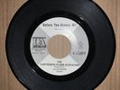 13th Floor Elevators Before You Accuse Me/Levitation D.J. Copy Excellent Cond.
