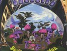 DEEE LITE - Dewdrops In The Garden - Vinyl (transparent pink & purple vinyl LP)