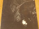 COCTEAU TWINS-The Pink Opaque ORIG. 1986 RELATIVITY/4AD Vinyl LP INSERT EMC 8040