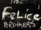 The Felice Brothers 1ST US PRESSING Coppertree Records 2xVinyl LP