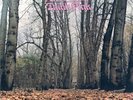 Twink [Pink Fairies] - Think Pink [RSD Ltd.Ed.] (Double Vinyl , 2019, Sunbeam)