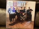 Skyy - Start Of A Romance (Vinyl LP - 1989 - US - Original)