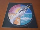 PINK FLOYD;WISH YOU WERE HERE.1LP.PICTURE DISC.TOTALLY MINT CONDITION.NEW.