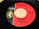 Rare DEE DEE SHARP 45 rpm 