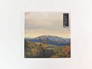 Dirty Projectors & Bjork - Mount Wittenberg Orca on Domino RSD Dark Green Sealed