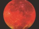 FRACTION: MOON BLOOD - PICTURE DISC - LP vinyl *BRAND NEW*
