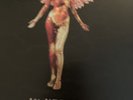In Utero Nirvana 2013 Vinyl Double LP Gatefold