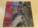 David Lee Roth - Skyscraper - 1988 1st Pressing Vinyl LP - Excellent Condition