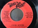 Lynyrd Skynyrd - What's It All About?, 7