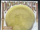 NEIL YOUNG / Psyhodelic Pill -3 LP- Vinyl:M / Cover:M /1st.US 2012 - SEALED