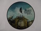 Pierce The Veil Collide With The Sky Picture Disc Vinyl Record