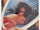 CAETANO VELOSO Araça Azul MPB TROPICALIA BRAZIL LP VG++ HEAR