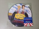 Beavis and Butt-head Do America Soundtrack - 20th Anniversary Picture Disc Vinyl