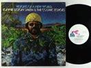 Lonnie Liston Smith - Visions Of A New World LP - Flying Dutchman VG++