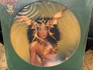 SEALED  Cher Take Me Home Picture Disc Vinyl US 1979 Please Read Description
