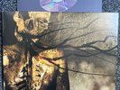 SHAI HULUD - MISANTHROPY PURE(LIMITED EDITION HAND NUMBERED GOLD VINYL/894/2000)