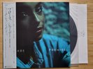 Sade Promise LP,1985 Japan vinyl professionally cleaned,Epic records Mint