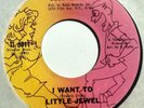 Northern soul 45 LITTLE JEWEL I Want To / It Doesn't Matter on TAY-STER