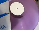 RARE PURPLE VINYL    BRUCE SPRINGSTEEN LIVE PHILLY LP see PICS 4 COVER ; ) Boss
