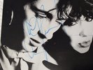 Johnny Thunders AUTOGRAPH Copy Cats Restless LP Plus Jungle LP Version