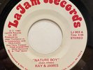 RARE Boogie Funk Modern Soul 45 RAY & JAMES Nature Boy LAJAM RECORDS listen