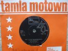 The Contours - Just A Little Misunderstanding - EX- / VG+ 45 Motown TMG 723