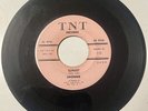 Shonnie 1964 GIRL GROUP DOOWOP 45 Sunset / Summer Is Time For Love TNT Vg++ HEAR