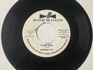 Napoleon Tyce 1961 DOO WOP 45 Sitting Here / Paper Doll NORWOOD DJ VG+++/M- HEAR