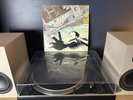 Stiff Little Fingers Go For It UK 1981 Vinyl Record Album LP VG/VG