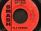 Potion Of Love/Another Love by The Ambers (Smash 2111) 7
