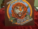 Robert Hunter tiger Rose