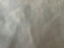 SocMomBR, ClaiBR, ChaXOBI, ShaVanEtt SILVER LPs Inc P&p