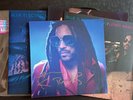 LENNY KRAVITZ BLUE ELECTRIC LIGHT LTD EDITION DBL LP & SIGNED/AUTOGRAPH PRINT